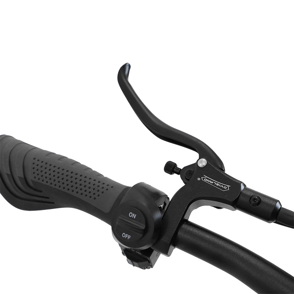 OOTD T30 Electric Scooter 13" Tires Dual 1600W Motors 60V 31.2Ah Battery