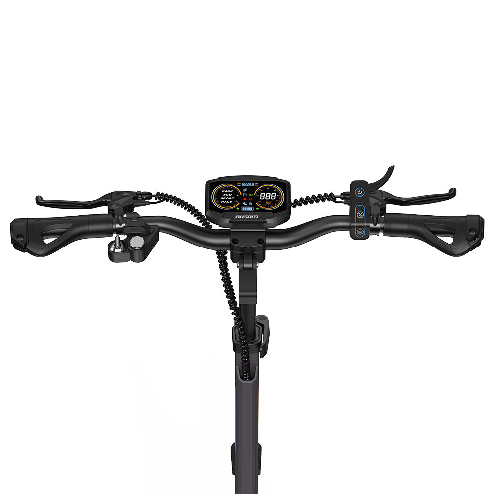 Ausom L1 Electric Scooter Single 800W Motor 10" Tires 48V 15.6Ah Battery