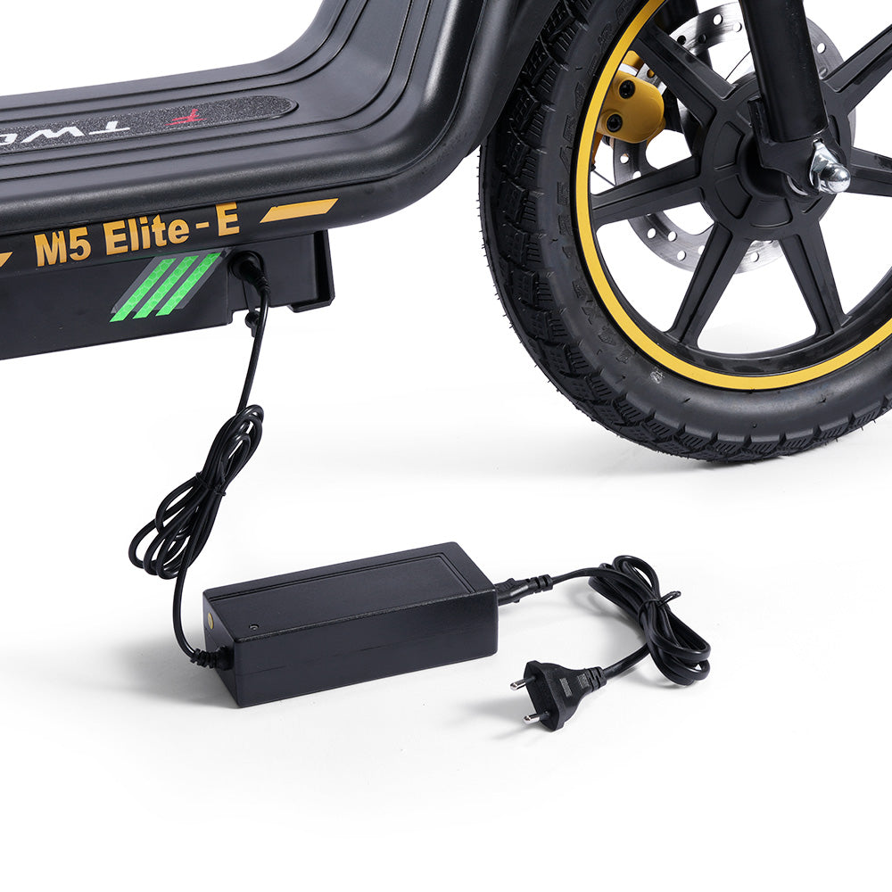 TWOFISH M5 Elite-E Electric Scooter 14" Tire 40km/h 500W 48V 13Ah Battery