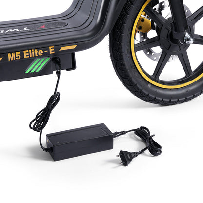 TWOFISH M5 Elite-E Electric Scooter 14" Tire 40km/h 500W 48V 13Ah Battery