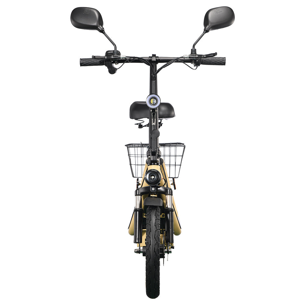 TWOFISH M5 Elite-E Electric Scooter 14" Tire 40km/h 500W 48V 13Ah Battery