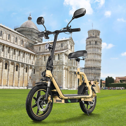 TWOFISH M5 Elite-E Electric Scooter 14" Tire 40km/h 500W 48V 13Ah Battery