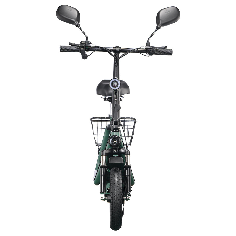 TWOFISH M5 Pro-E Electric Scooter 12" Tire 40km/h 500W 48V 13Ah Battery