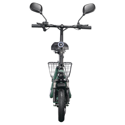 TWOFISH M5 Pro-E Electric Scooter 12" Tire 40km/h 500W 48V 13Ah Battery