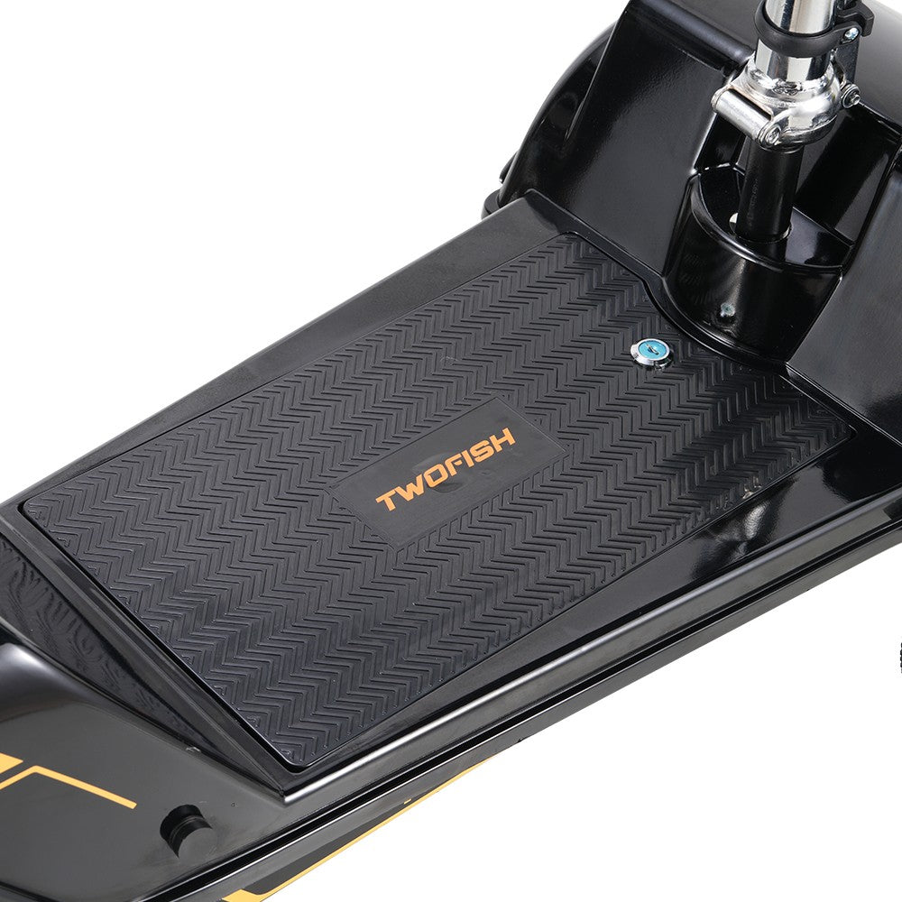 TWOFFISH TF-03 Electric Tricycle Scooter 350W Motor 48V 15AH Battery