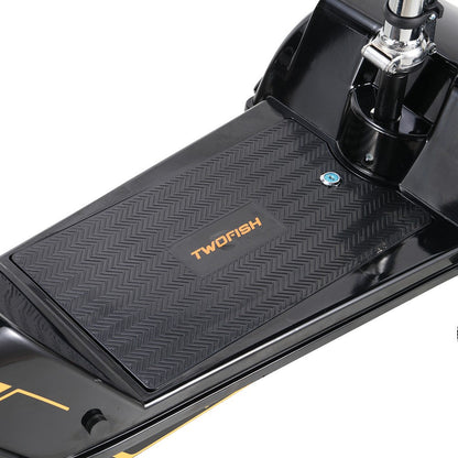 TWOFFISH TF-03 Electric Tricycle Scooter 350W Motor 48V 15AH Battery