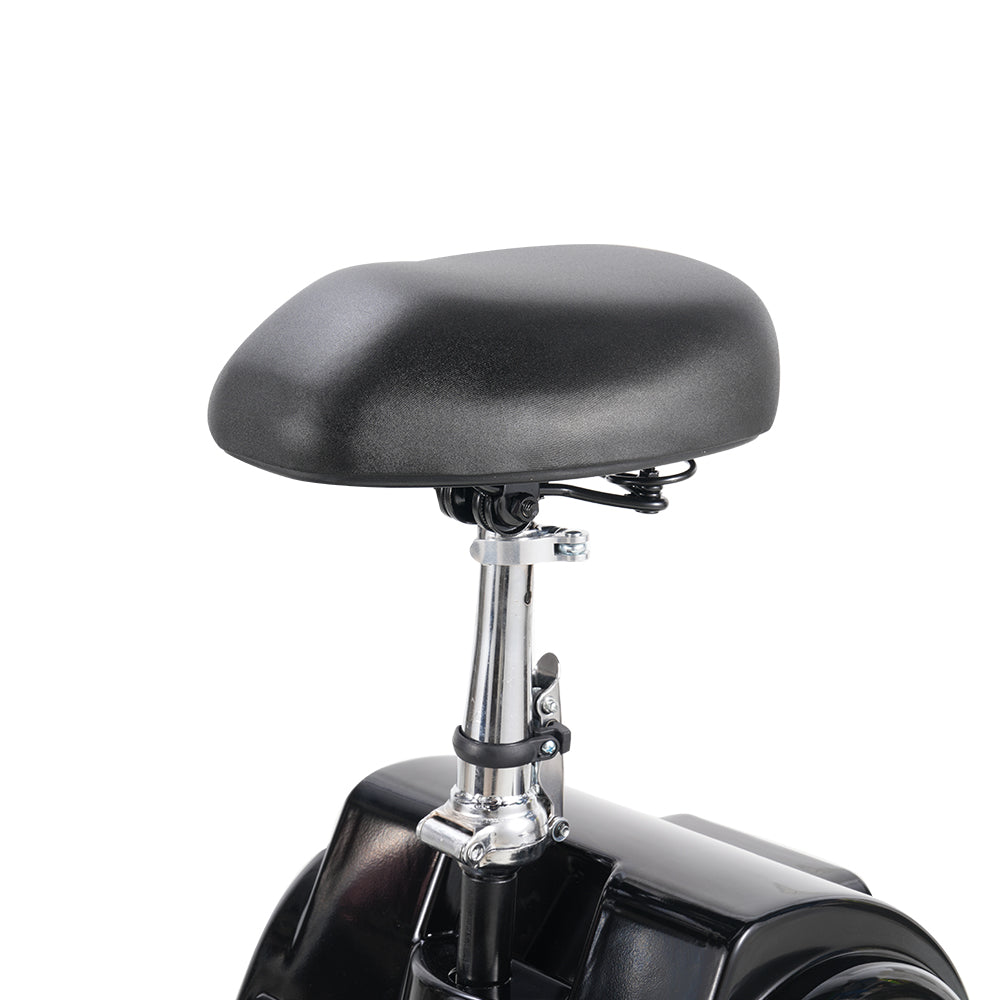 TWOFFISH TF-03 Electric Tricycle Scooter 350W Motor 48V 15AH Battery