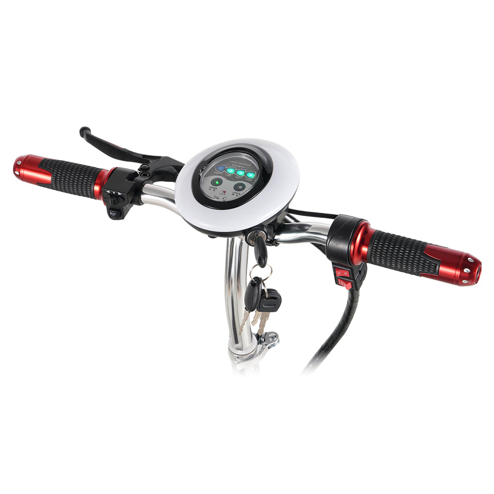 TWOFFISH TF-03 Electric Tricycle Scooter 350W Motor 48V 15AH Battery