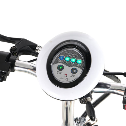 TWOFFISH TF-03 Electric Tricycle Scooter 350W Motor 48V 15AH Battery