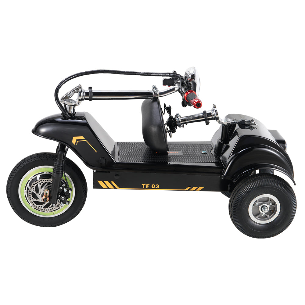 TWOFFISH TF-03 Electric Tricycle Scooter 350W Motor 48V 15AH Battery