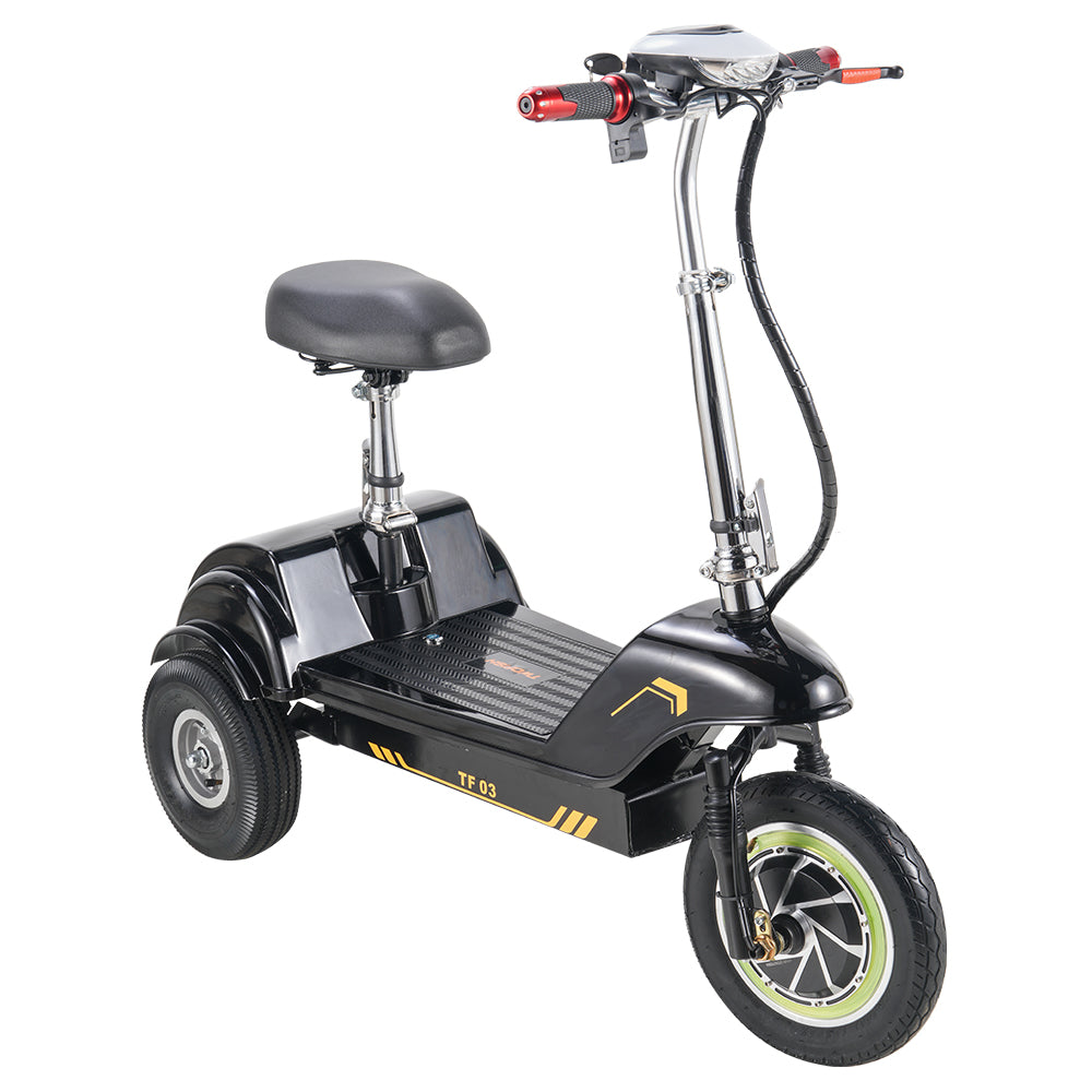 TWOFFISH TF-03 Electric Tricycle Scooter 350W Motor 48V 15AH Battery