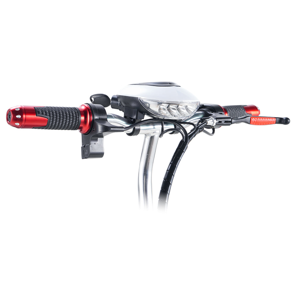 TWOFFISH TF-03 Electric Tricycle Scooter 350W Motor 48V 15AH Battery