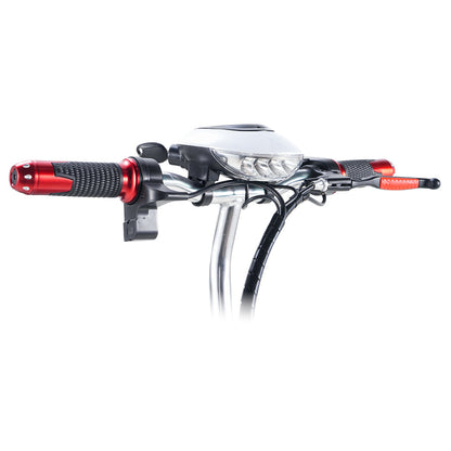 TWOFFISH TF-03 Electric Tricycle Scooter 350W Motor 48V 15AH Battery